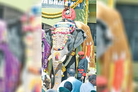 Abhimanyu