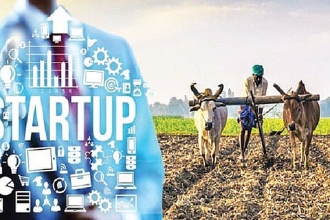 Agri Startup