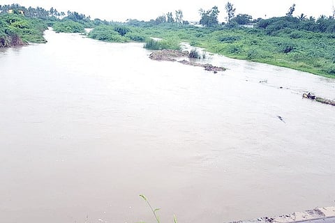 Bappuru Halla Full