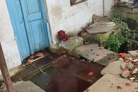 Blood