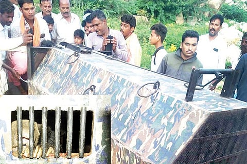 Devalapura Bear Trapped