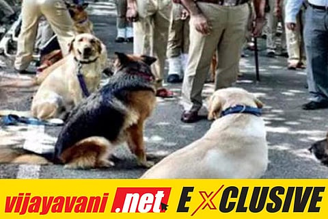 Dog Force