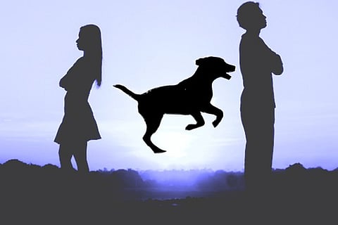 Dog,HusbandWife-BreakUp,