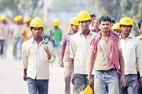 Employment