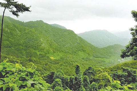 Environment