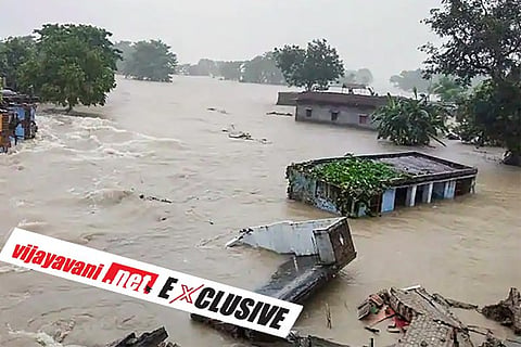 Flood Web Exclusive