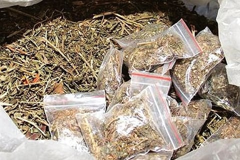 Ganja