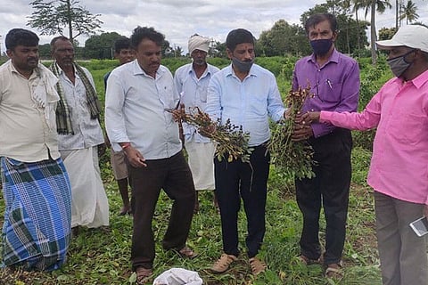 Kolar