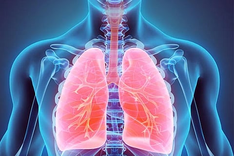 Lungs Day