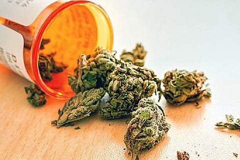 Marijuana