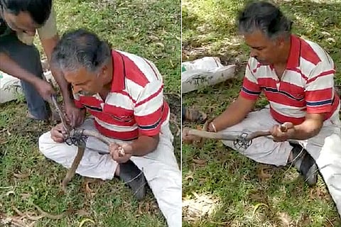 SnakeSeshappa