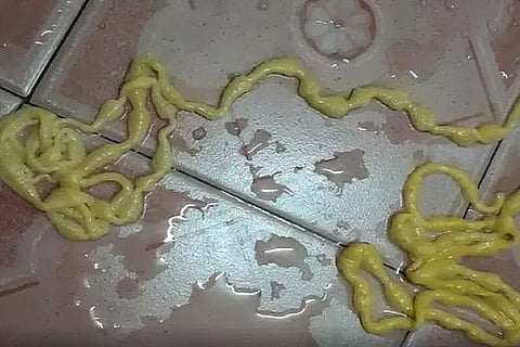 TAPE WORM