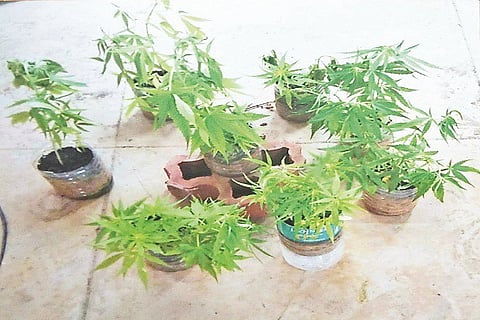 Tilak nagar-2