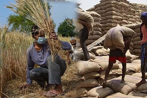 agri
