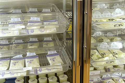 breast milk for weight loss