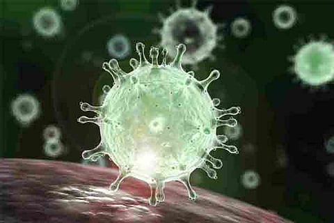 carona logo