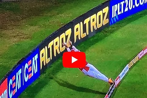 cricket