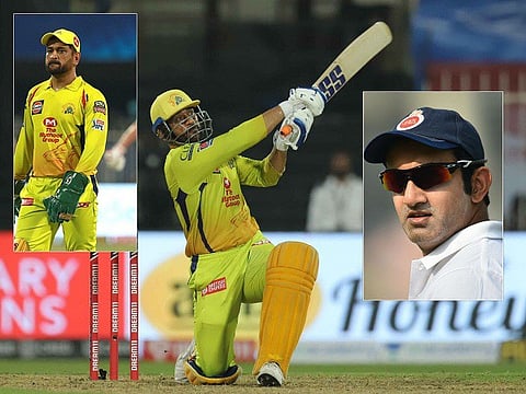 dhoni web