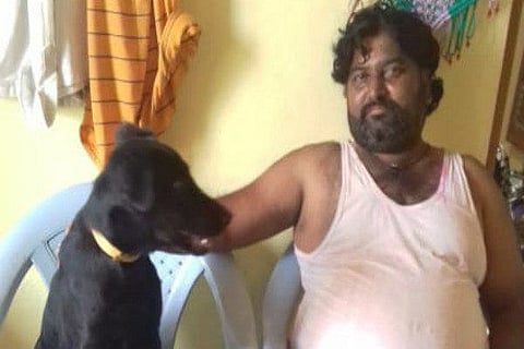 dog