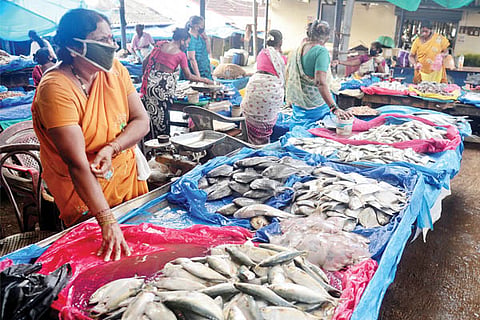 fish market new