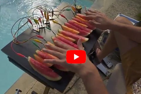 fruit music