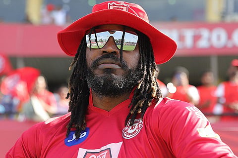 gayle for web