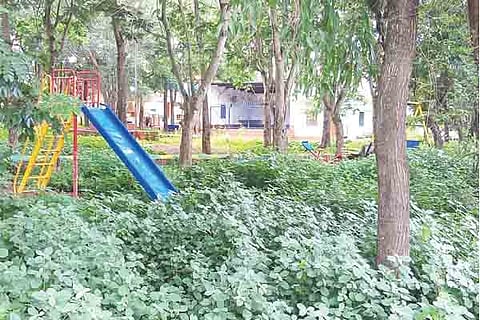 h8-J.P. Nagar garden 1