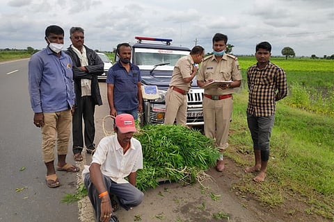 hubli