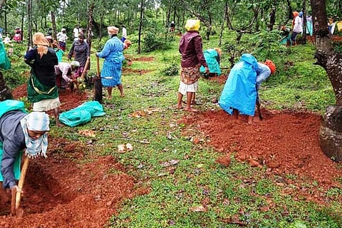 ingugundi