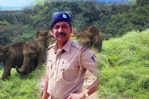 inspector