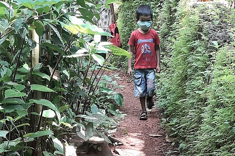 kaaludaari