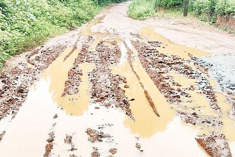 kachur