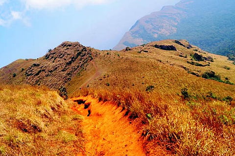 kodachadri