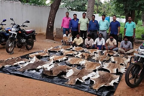 krishan mruag new