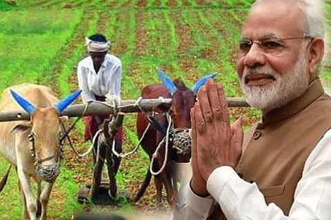modi krushi