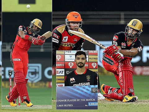 pdikal ipl web