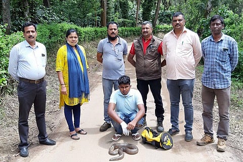 snake sale one arrested in kodagu dist