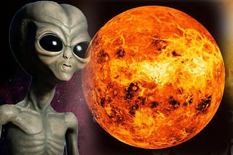 venus
