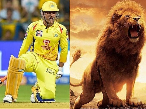 welcome back dhoni web