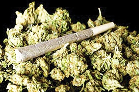 07-ganja image