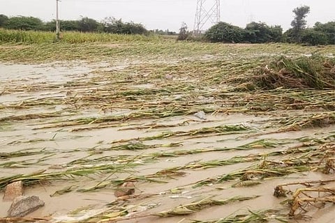 12102020 Gangavati crop loss