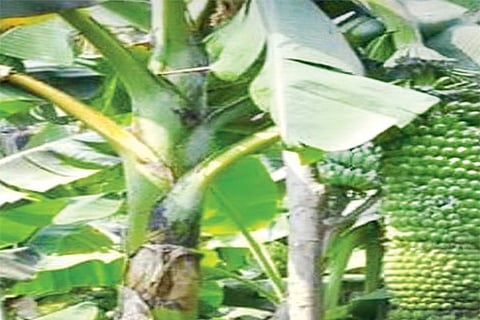 13KWR1