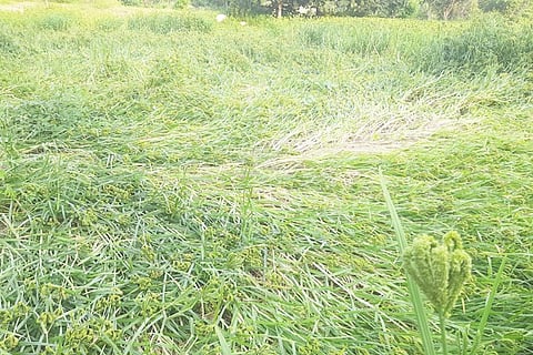 20201007_170317 (1)