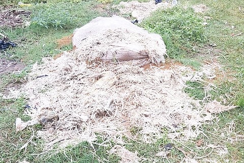 22 Nandagudi 1 Thyjya