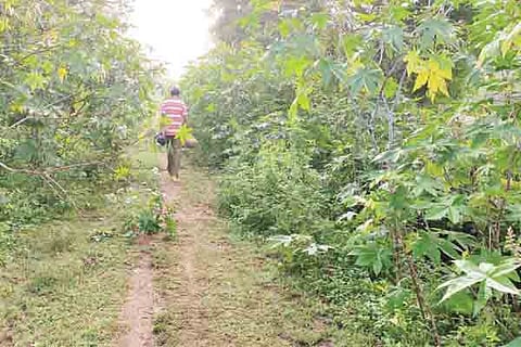 22 upbr 1B-Rudra bhoomi story