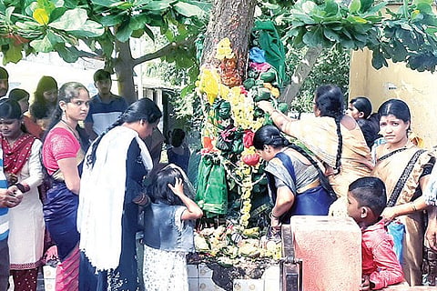 261020 Kudligi Shami Vrukha Pooja