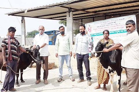 27 Nandagudi 1 Lasika Abiyana