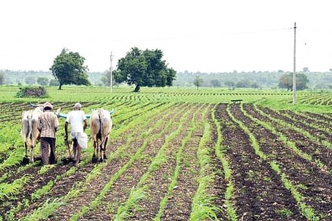 Agri 11 Oct