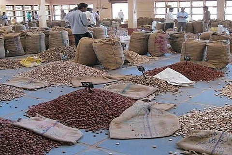 Areca nut godown