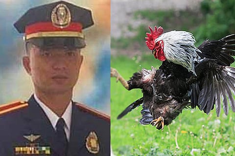 Cockfight